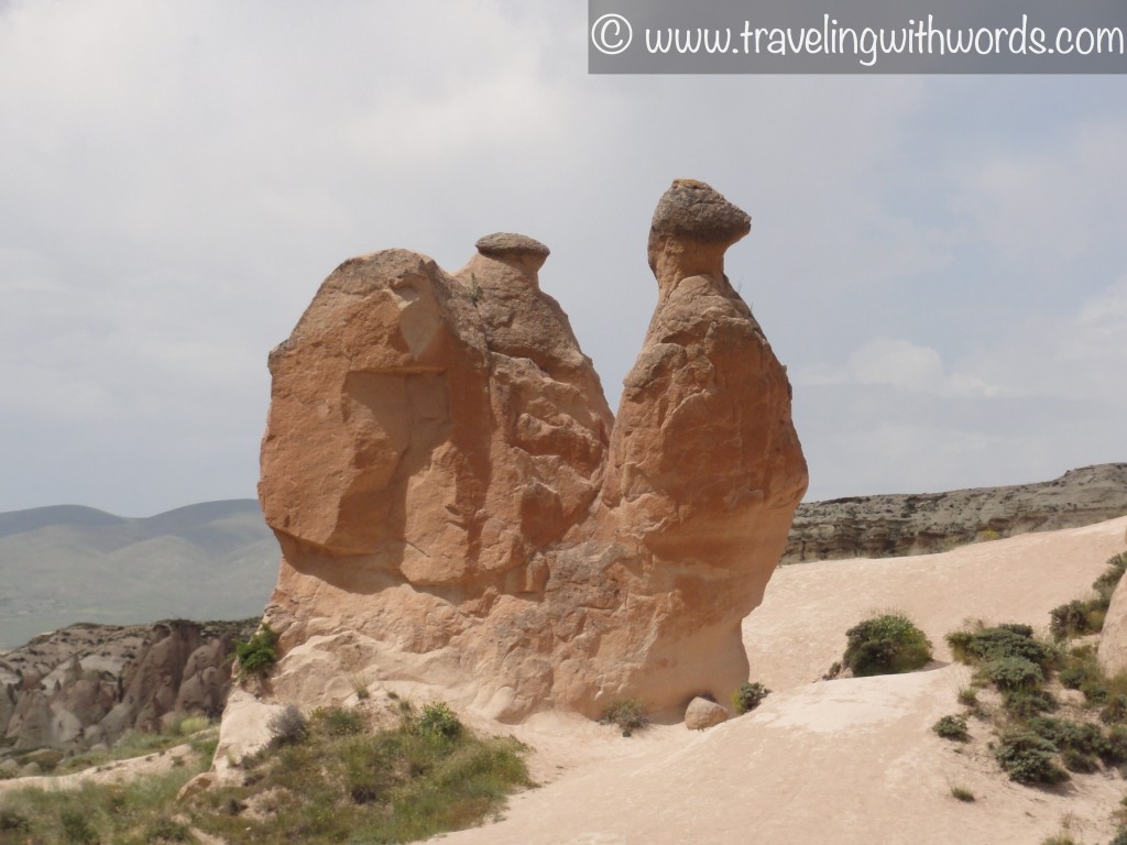 A camel shaped rock